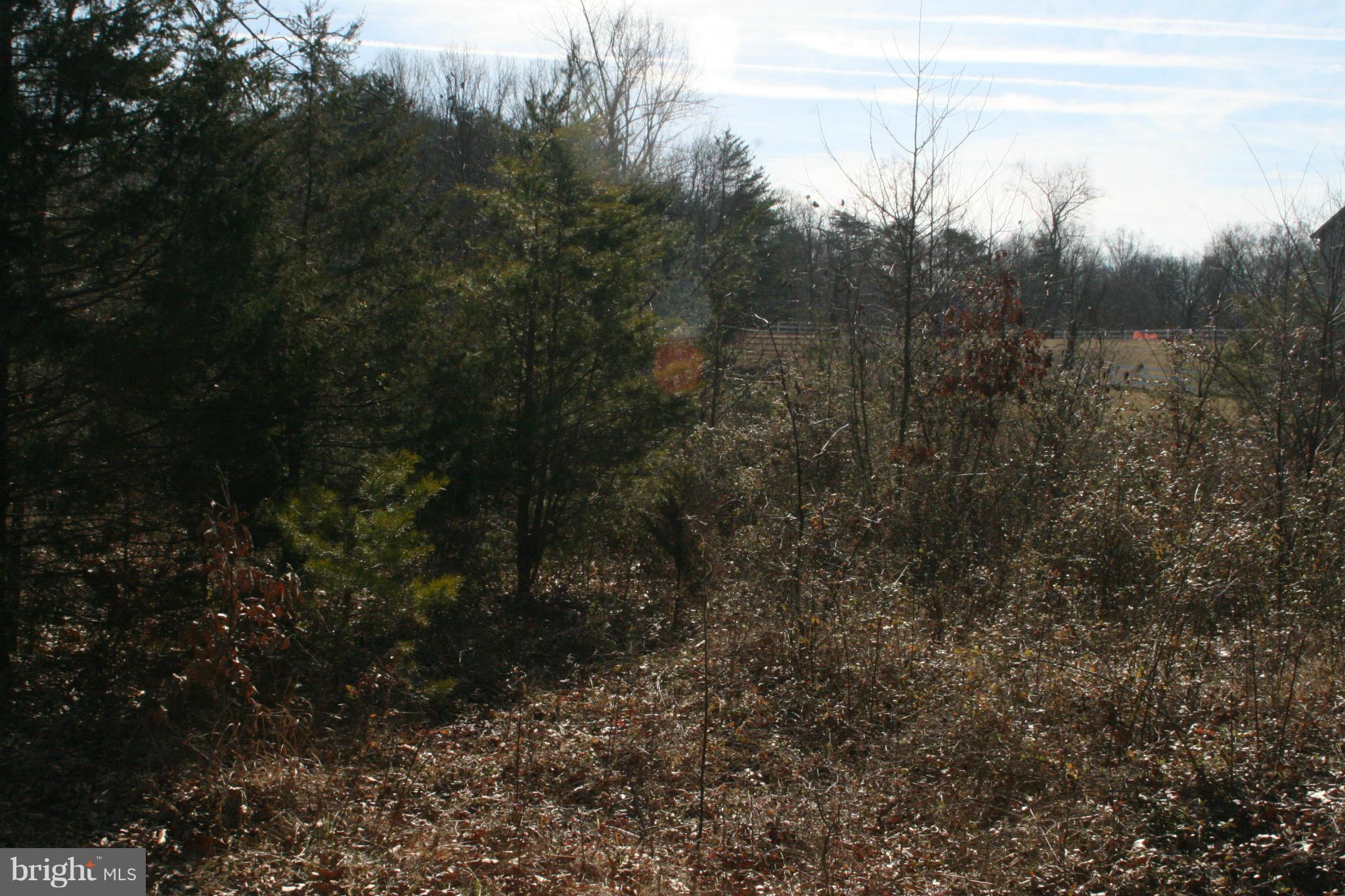 0 St Paul's Road Bealeton, VA 22712 - Photo 4 of 18 View