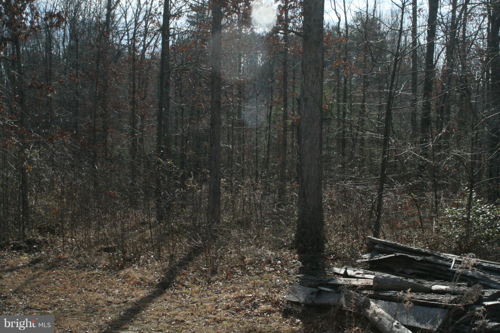 0 St Paul's Road Bealeton, VA 22712 - Photo 5 of 18 View