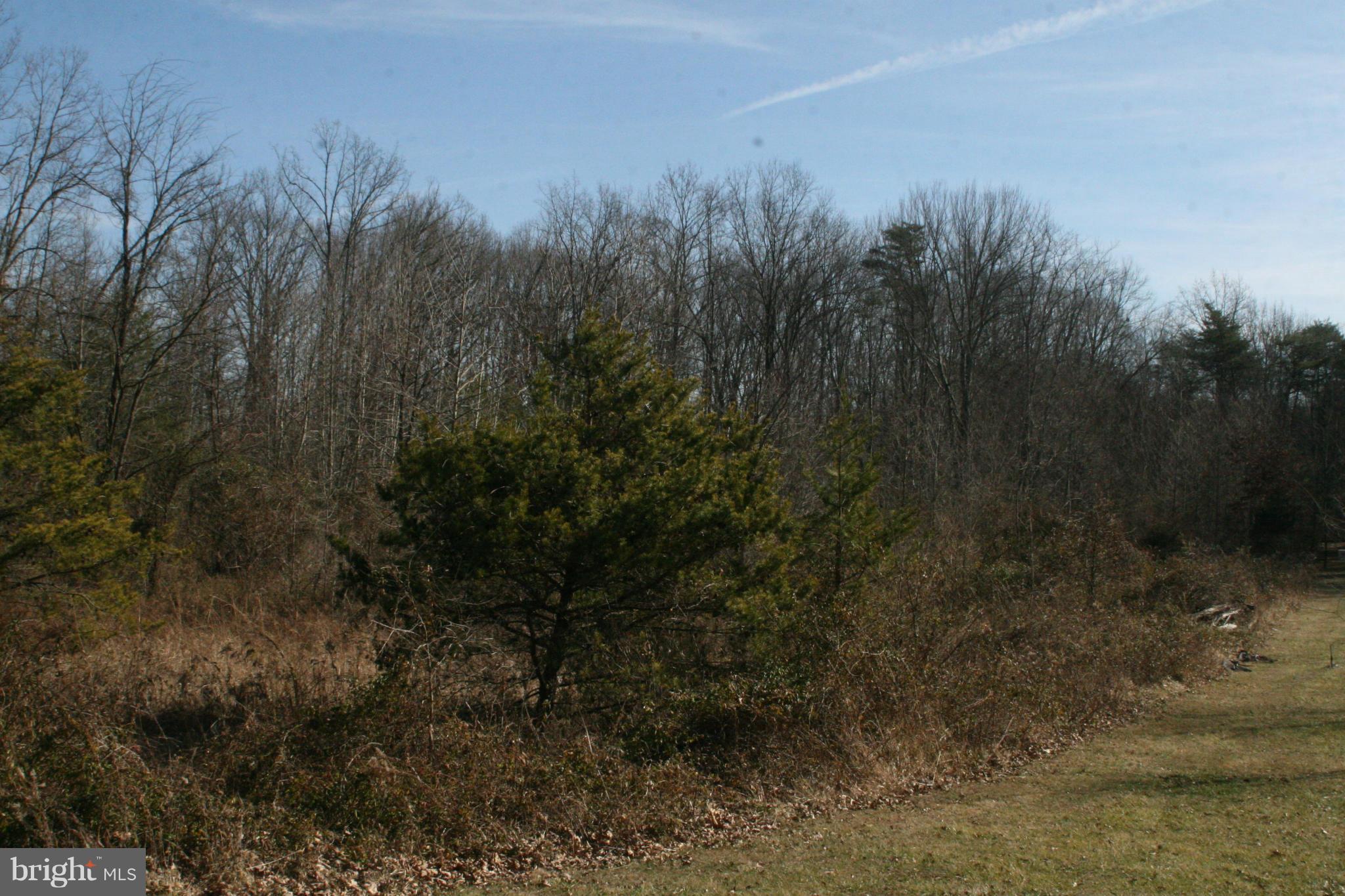 0 St Paul's Road Bealeton, VA 22712 - Photo 6 of 18 View