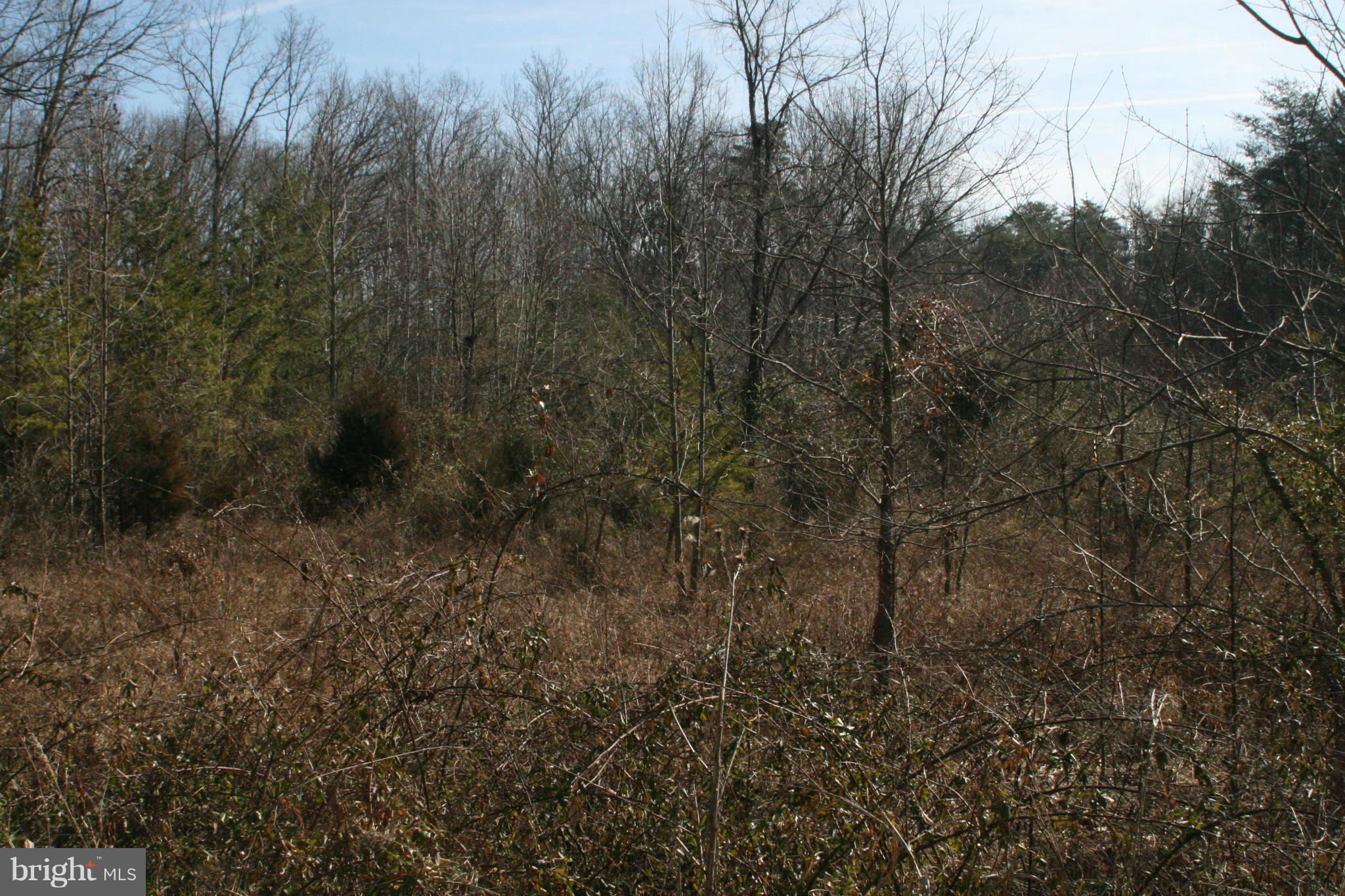 0 St Paul's Road Bealeton, VA 22712 - Photo 9 of 18 View