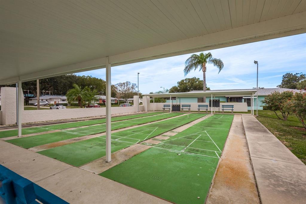 2738 Sherbrooke Lane, Unit C Palm Harbor, FL 34684 - Photo 44 of 55