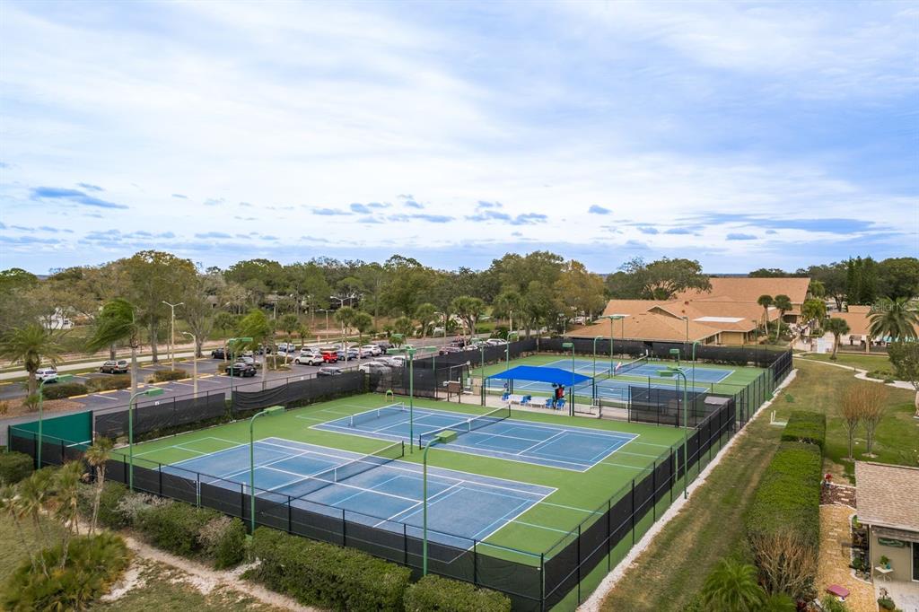 2738 Sherbrooke Lane, Unit C Palm Harbor, FL 34684 - Photo 45 of 55