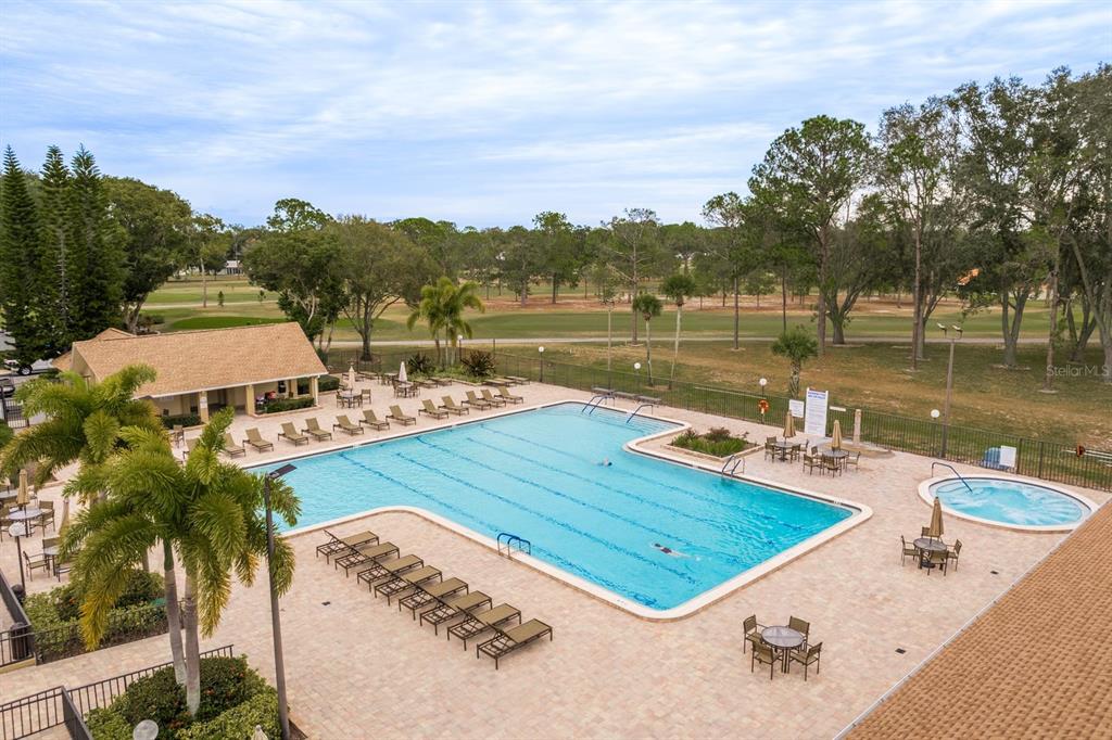 2738 Sherbrooke Lane, Unit C Palm Harbor, FL 34684 - Photo 48 of 55