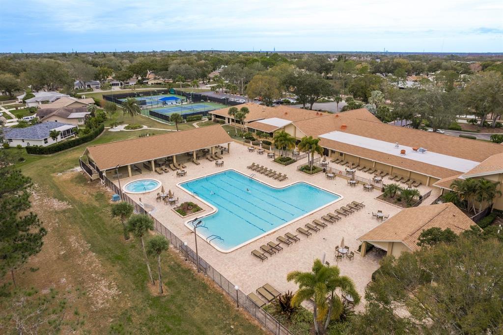 2738 Sherbrooke Lane, Unit C Palm Harbor, FL 34684 - Photo 49 of 55