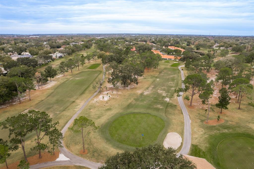 2738 Sherbrooke Lane, Unit C Palm Harbor, FL 34684 - Photo 55 of 55