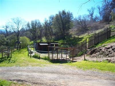 29856 Seminole Road Tollhouse, CA 93667 - Photo 12 of 29 Gallery Image 12
