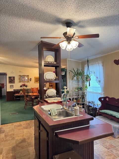 1137 Rugby Avenue Summerton, SC 29148 - Photo 16 of 25 IMG_6691 (1)