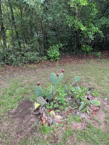 $169,900 | 1137 Rugby Avenue, Summerton, SC 29148