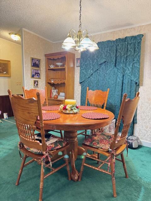 1137 Rugby Avenue Summerton, SC 29148 - Photo 8 of 25 IMG_7879