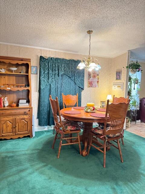 1137 Rugby Avenue Summerton, SC 29148 - Photo 9 of 25 IMG_7878