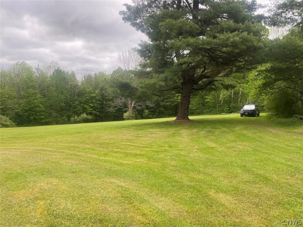 7133 Murry Hill Road Belfast, NY 14711 - Photo 16 of 33