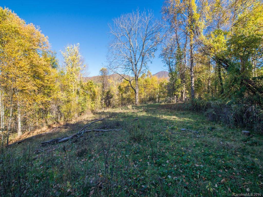 665 Cogburn Cove Road Canton, NC 28716 - Photo 14 of 24