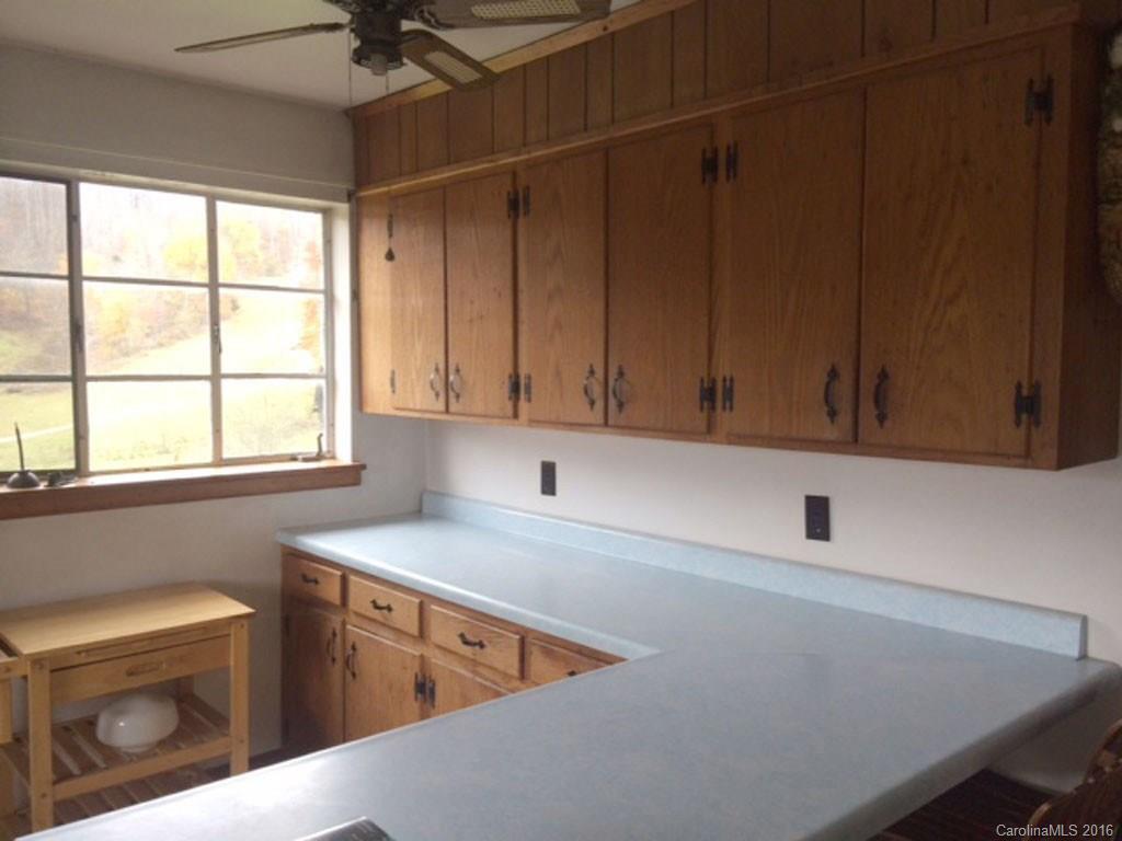 665 Cogburn Cove Road Canton, NC 28716 - Photo 22 of 24