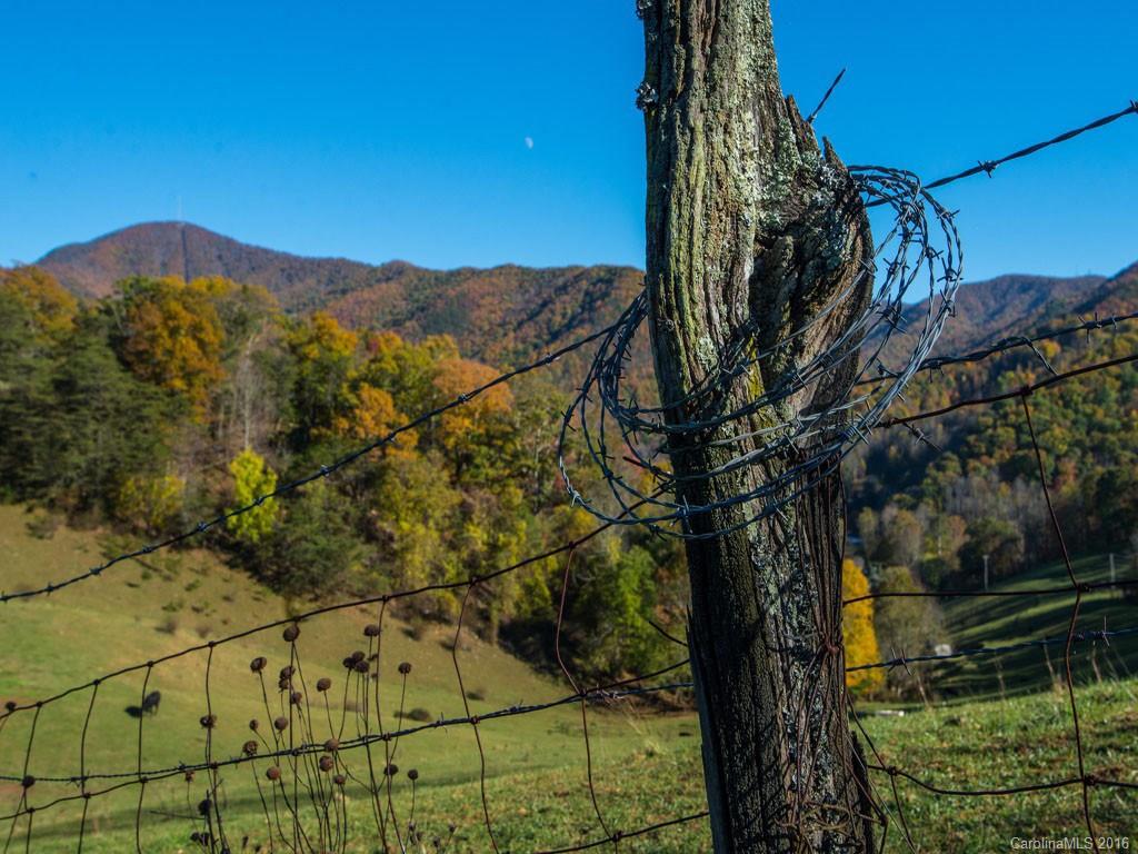 665 Cogburn Cove Road Canton, NC 28716 - Photo 8 of 24