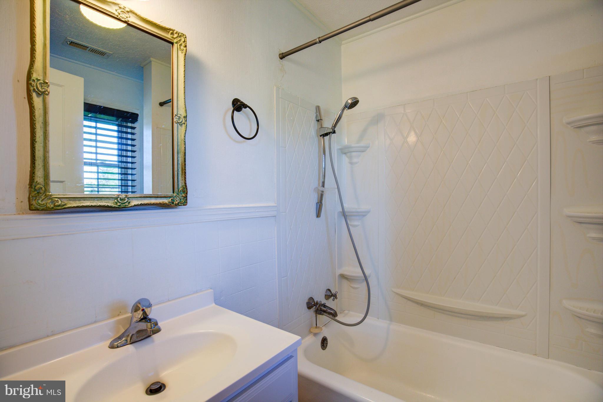 155 Summerville Road Boyce, VA 22620 - Photo 18 of 20 a bathroom with a sink a mirror and a shower