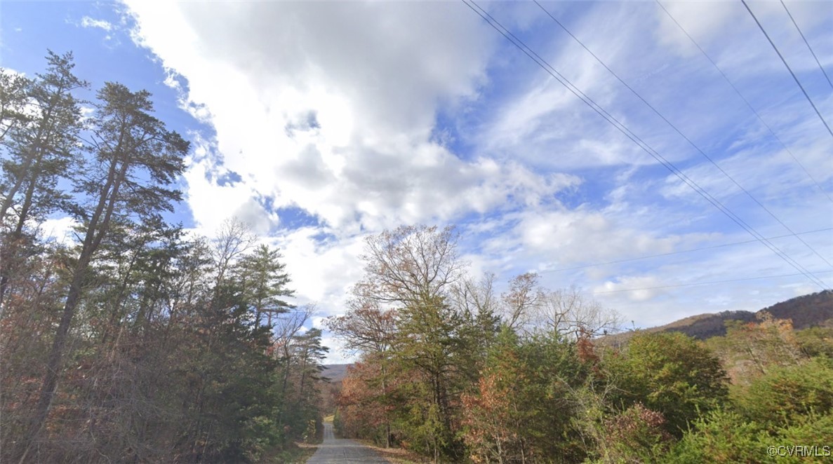 0 Flatwoods Road Elliston, VA 24087 - Photo 9 of 11 a view of a city with lots of trees