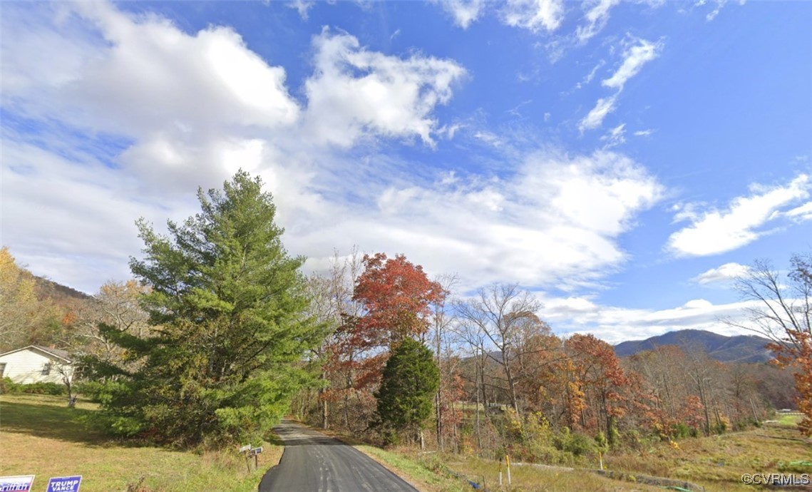 0 Flatwoods Road Elliston, VA 24087 - Photo 10 of 11 a view of a city with lots of trees