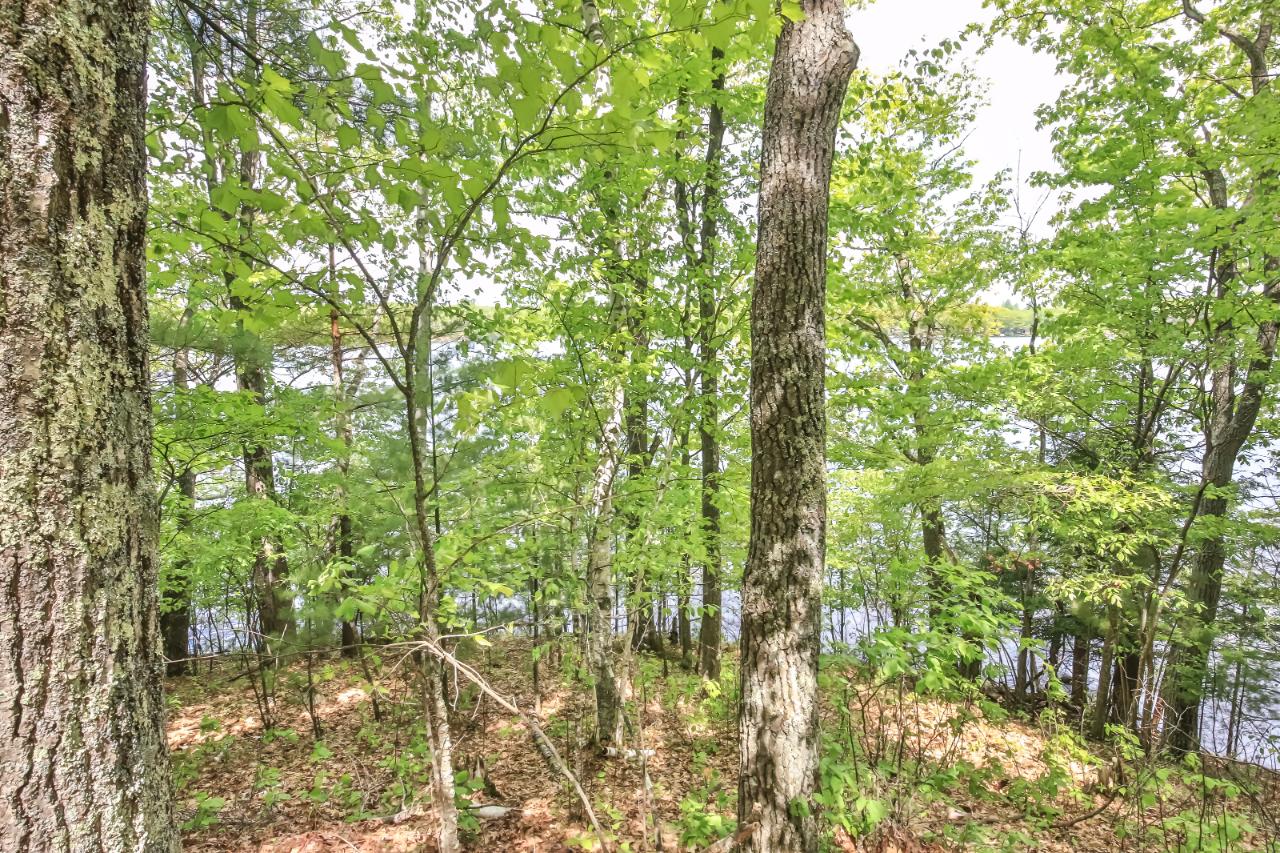 7863 Alva Lake Road Lake Tomahawk, WI 54539 - Photo 28 of 30 Gallery Image 28