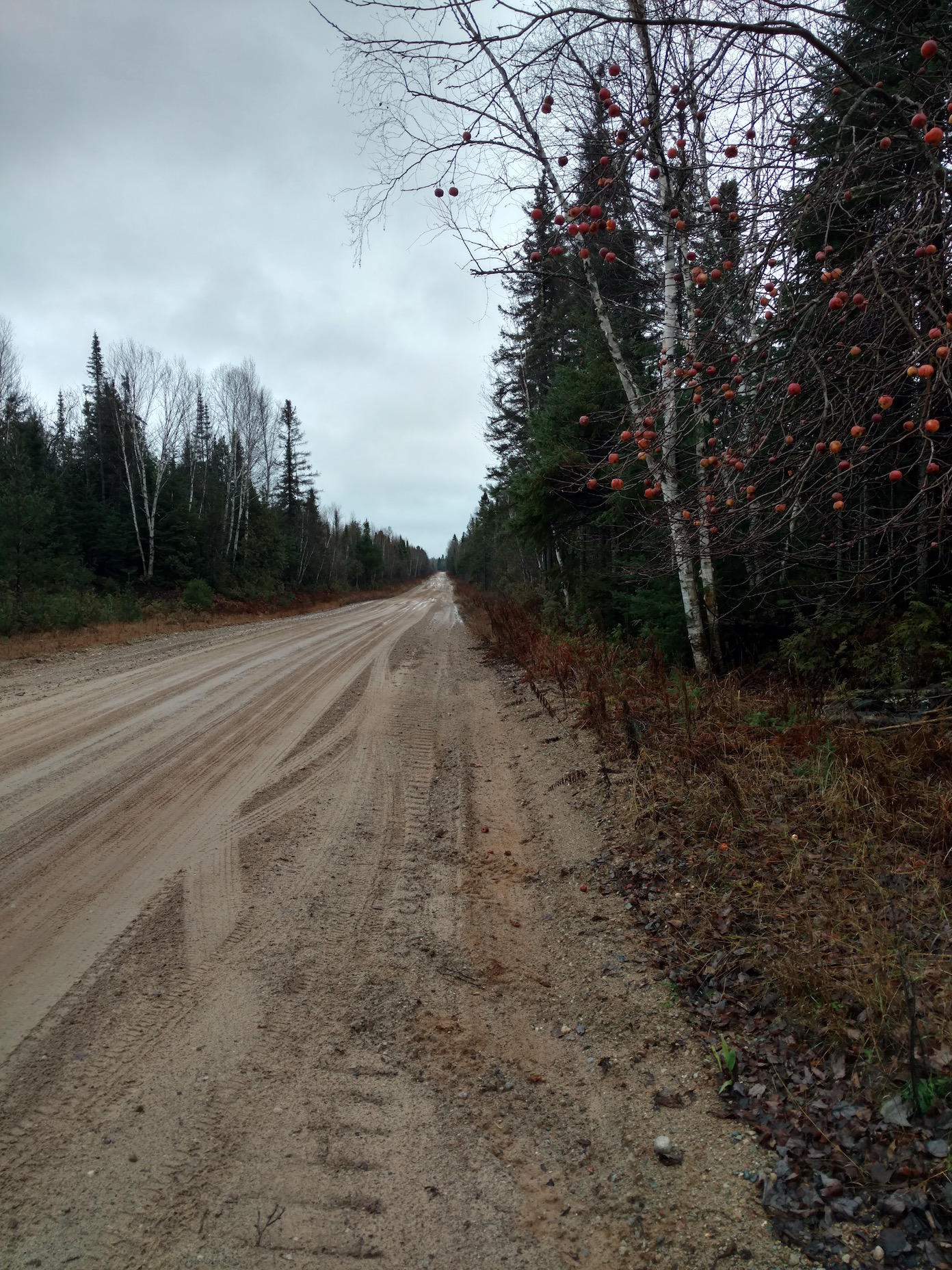 15875 South Hulbert Road Eckerman, MI 49728 - Photo 10 of 18 Gallery Image 10