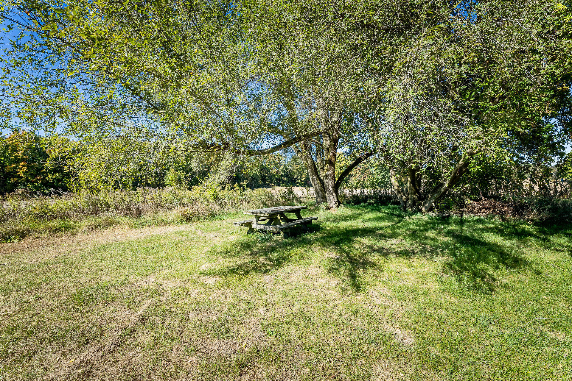 6370 Brunswick Road Holton, MI 49425 - Photo 49 of 50 Larsen-542-HDR