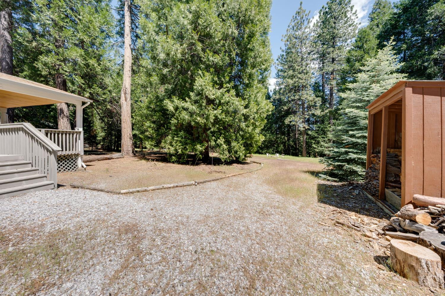 28722 Wood Road Pioneer, CA 95666 - Photo 28 of 39 a view of a backyard of the house