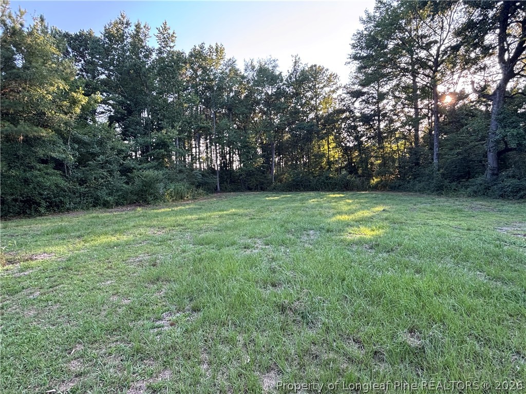 595 Shaw Road St. Pauls, NC 28384 - Photo 11 of 29