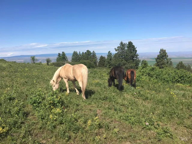 $495,000 | 39055 Hilltop Lane, Lewiston, ID 83501