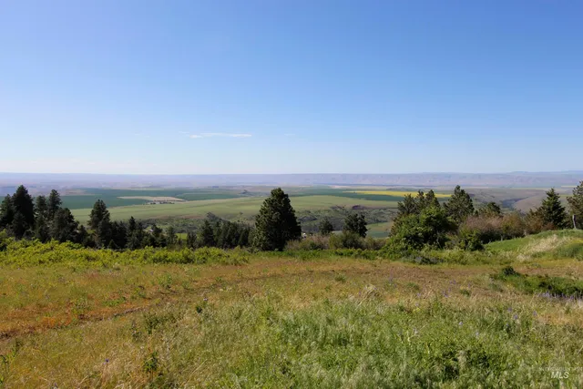 $495,000 | 39055 Hilltop Lane, Lewiston, ID 83501