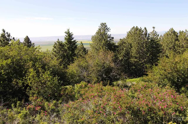 $495,000 | 39055 Hilltop Lane, Lewiston, ID 83501