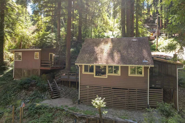 a view of a yard with plants and trees