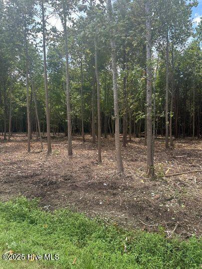 1447 Roosevelt Spain Road Greenville, NC 27834 - Photo 1 of 1 Roosevelt Spain 1