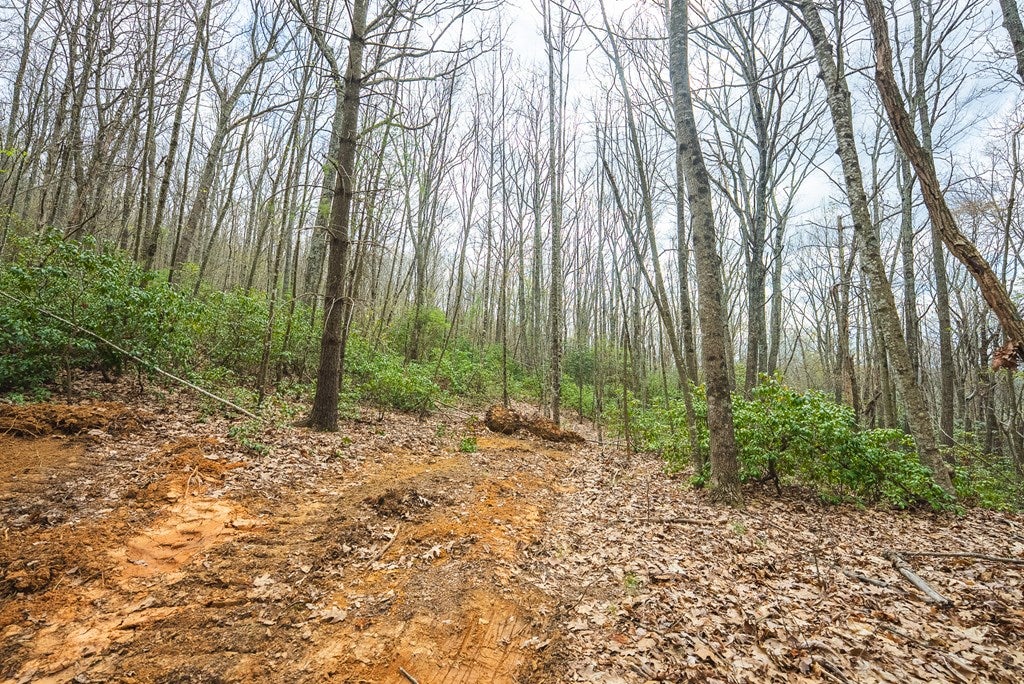 Tbd Cox Store Road Southwest Floyd, VA 24091 - Photo 11 of 27 Gallery Image 11