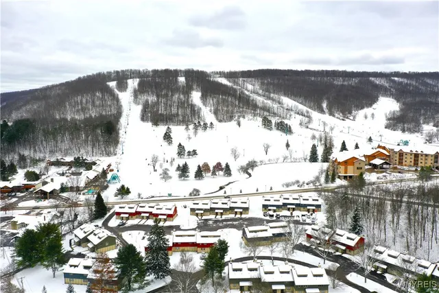 $192,000 | 5 Wildflower Apartment, Ellicottville, NY 14731