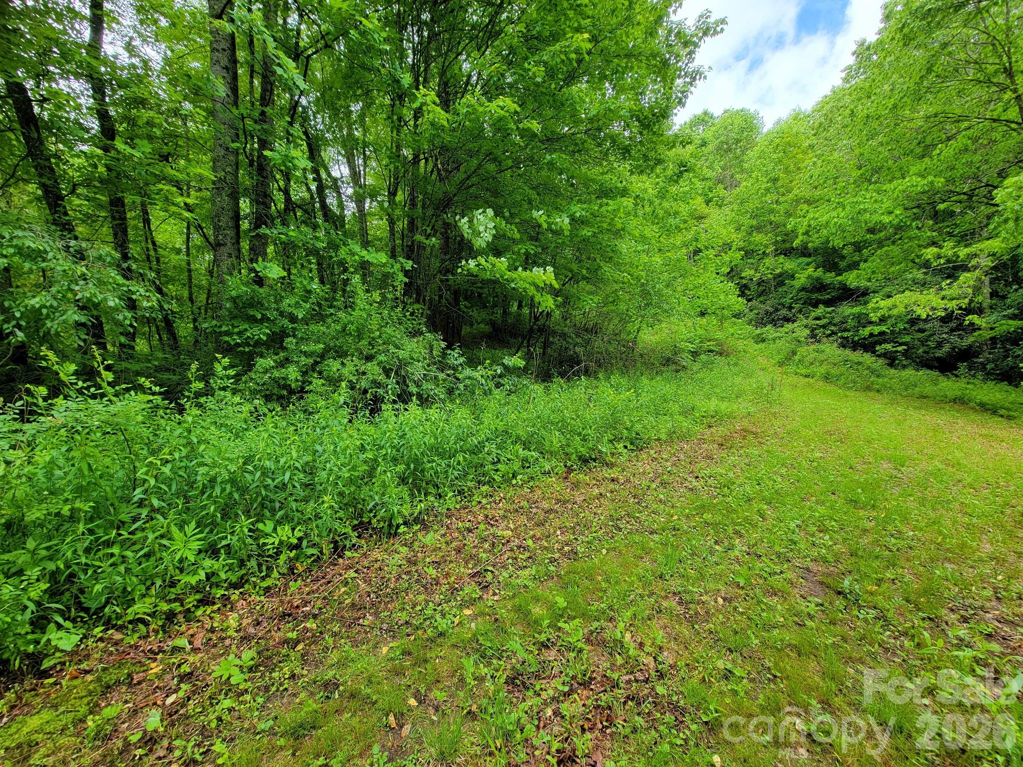 Tbd Sweetwater Rdg Road, Unit 1 Balsam Grove, NC 28708 - Photo 18 of 24
