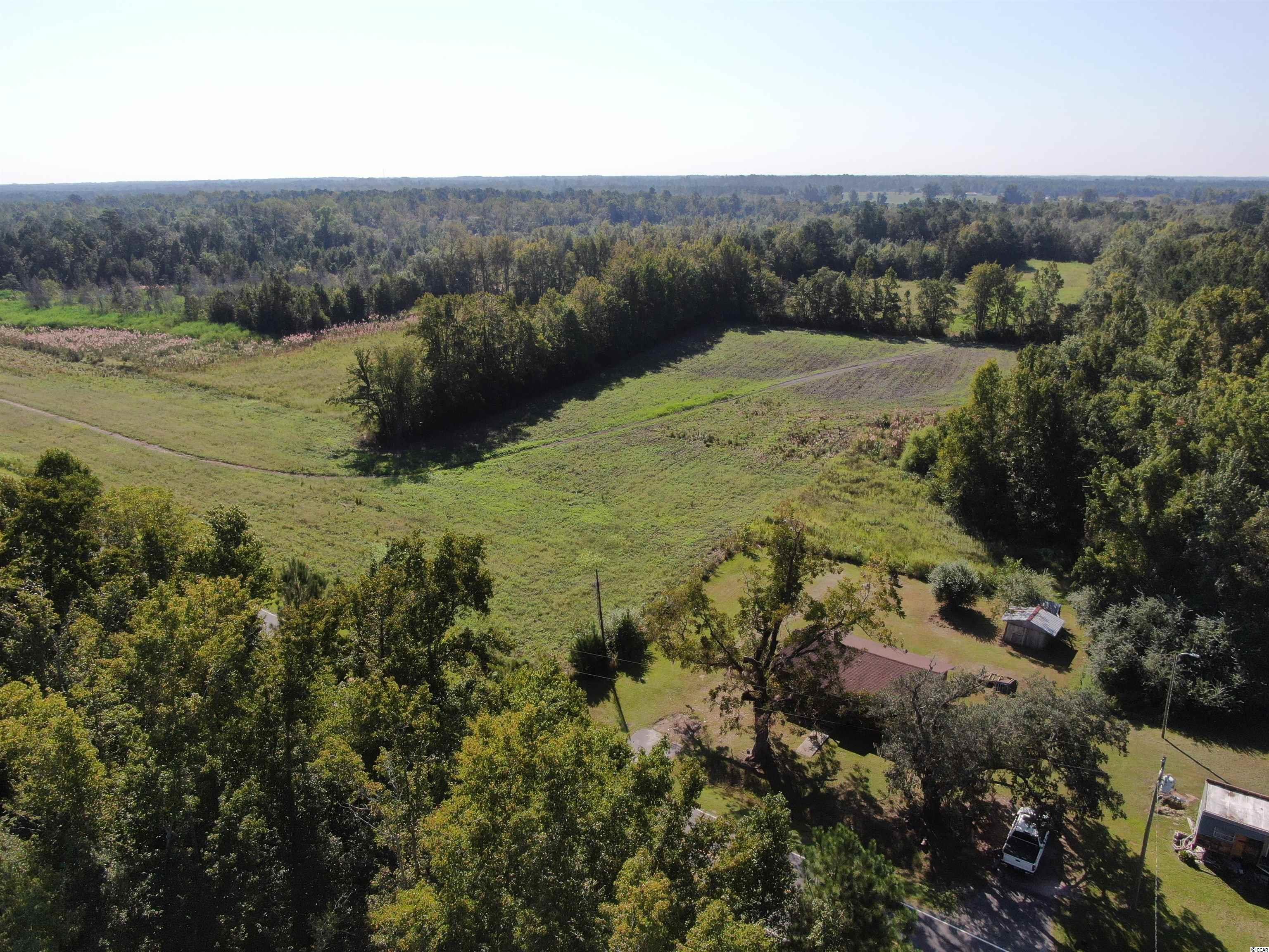 5161 Long Branch Swamp Road Green Sea, SC 29545 - Photo 17 of 26 Gallery Image 17