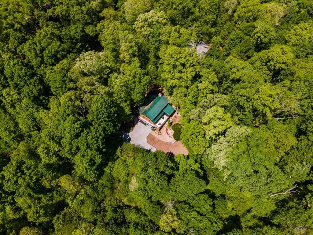 386 River Run Road Calhoun, TN 37309 - Photo 69 of 70 Gallery Image 69