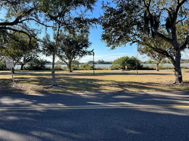 a view of a yard with a large tree