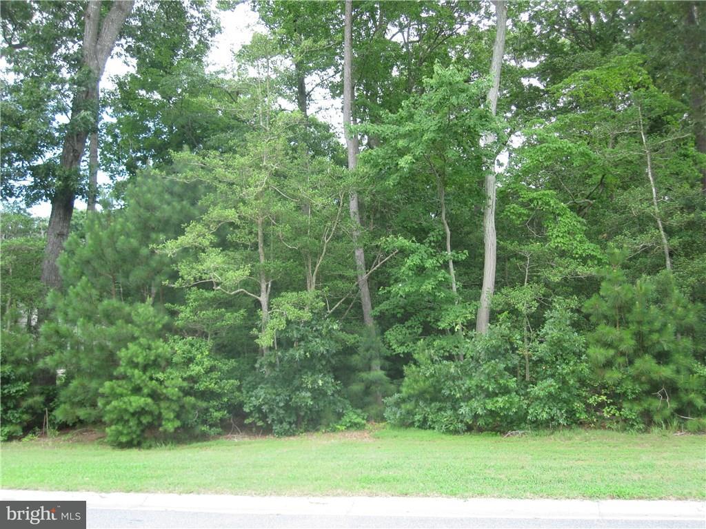 22501 Ridge Circle, Unit 23 Lewes, DE 19958 - Photo 2 of 15 Gallery Image 2