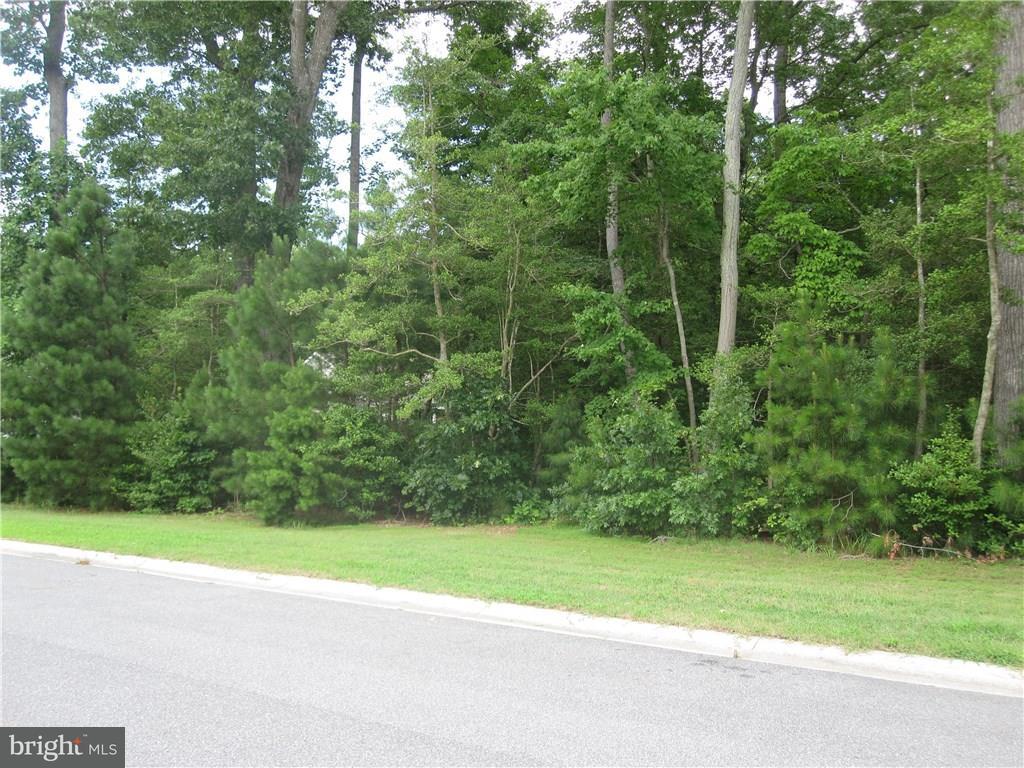 22501 Ridge Circle, Unit 23 Lewes, DE 19958 - Photo 3 of 15 Gallery Image 3