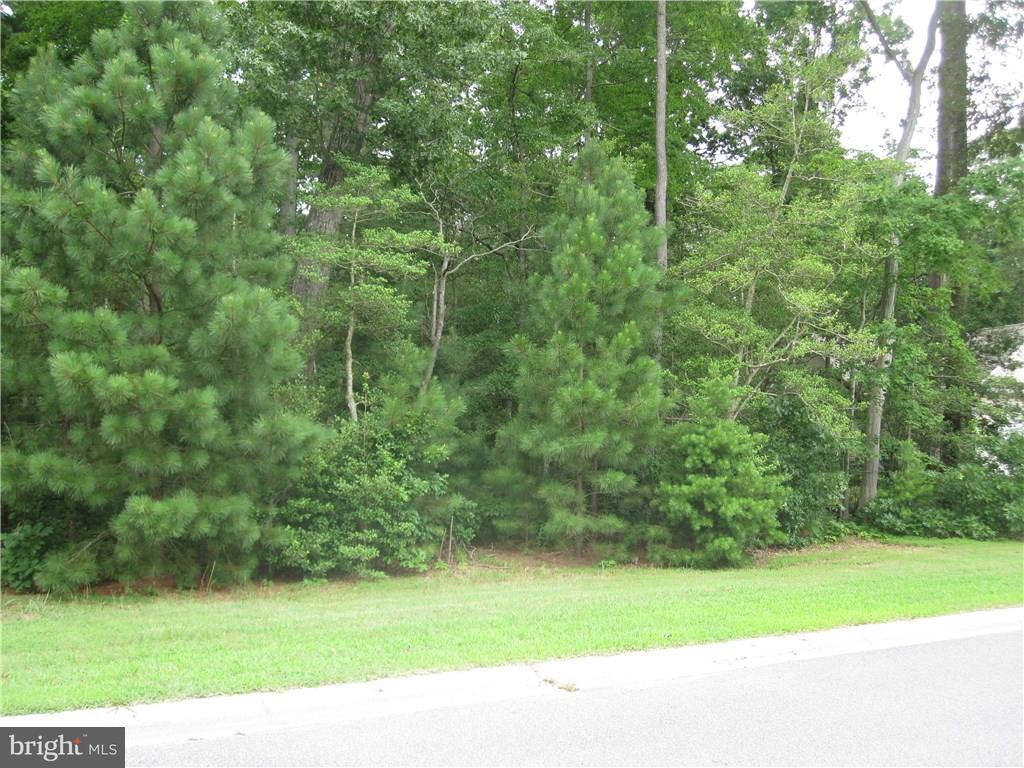 22501 Ridge Circle, Unit 23 Lewes, DE 19958 - Photo 4 of 15 Gallery Image 4