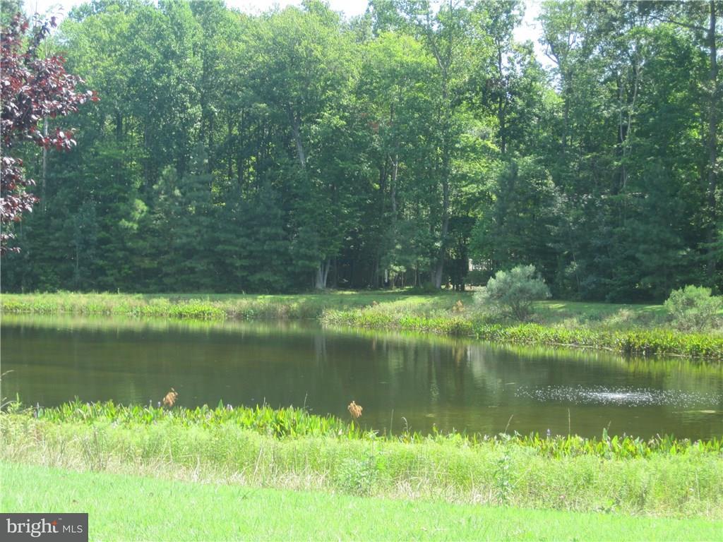 22501 Ridge Circle, Unit 23 Lewes, DE 19958 - Photo 7 of 15 Gallery Image 7