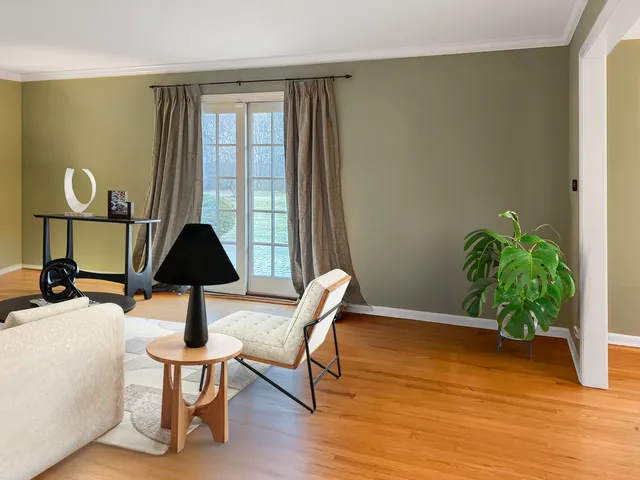 a view of a room with a potted plant and wooden floor