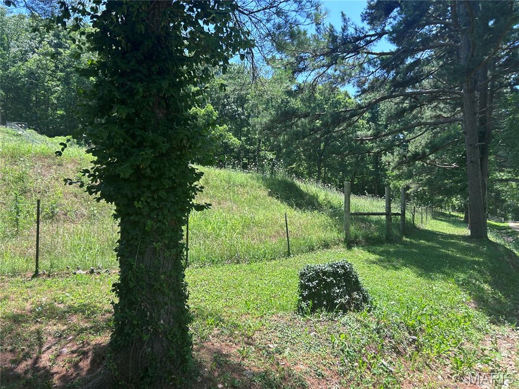 183 Graham Road Steelville, MO 65565 - Photo 11 of 82