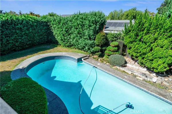 a view of a swimming pool with a yard and plants