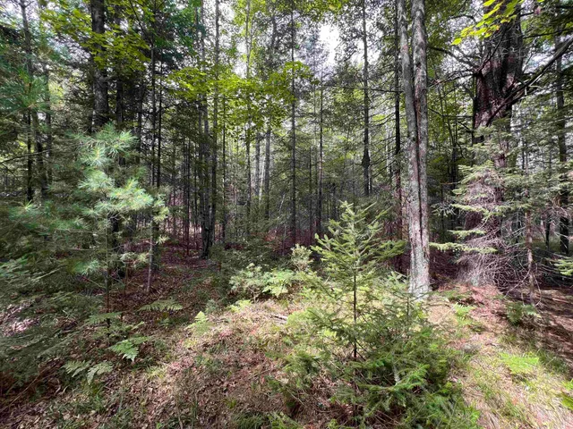 $46,500 | Bruette Road, Unit 2, Wausaukee, WI 54177