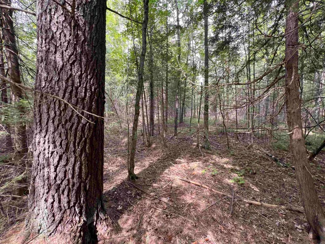 $46,500 | Bruette Road, Unit 2, Wausaukee, WI 54177