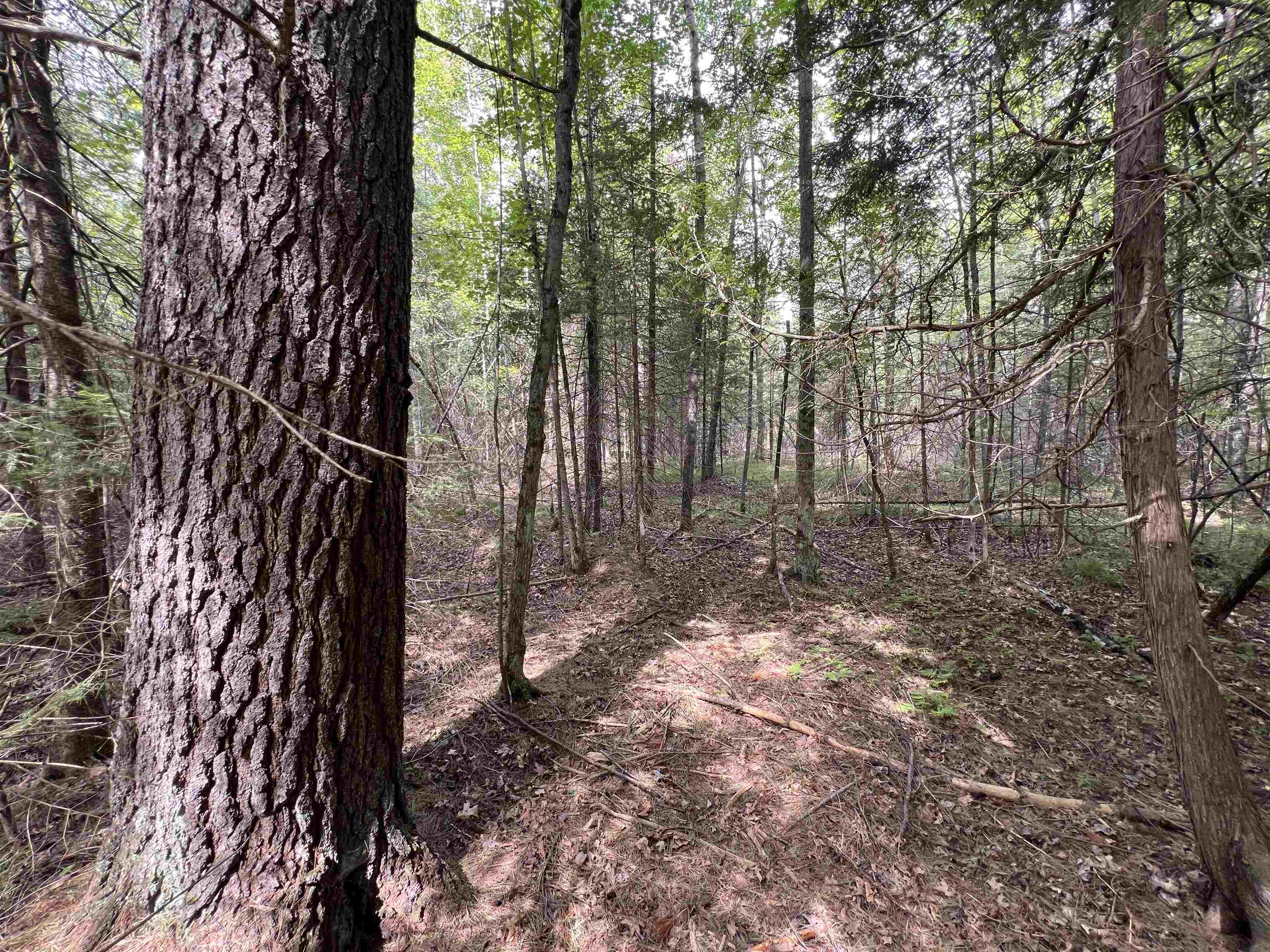 Bruette Road, Unit 2 Wausaukee, WI 54177 - Photo 3 of 4