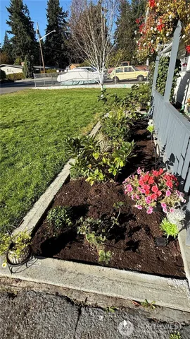 a view of a garden with flowers
