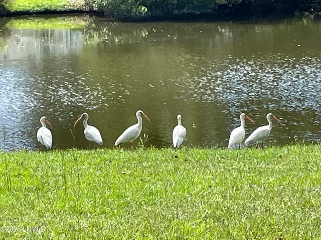 $525,000 | 8 Battery Point Lane, Beaufort, SC 29902