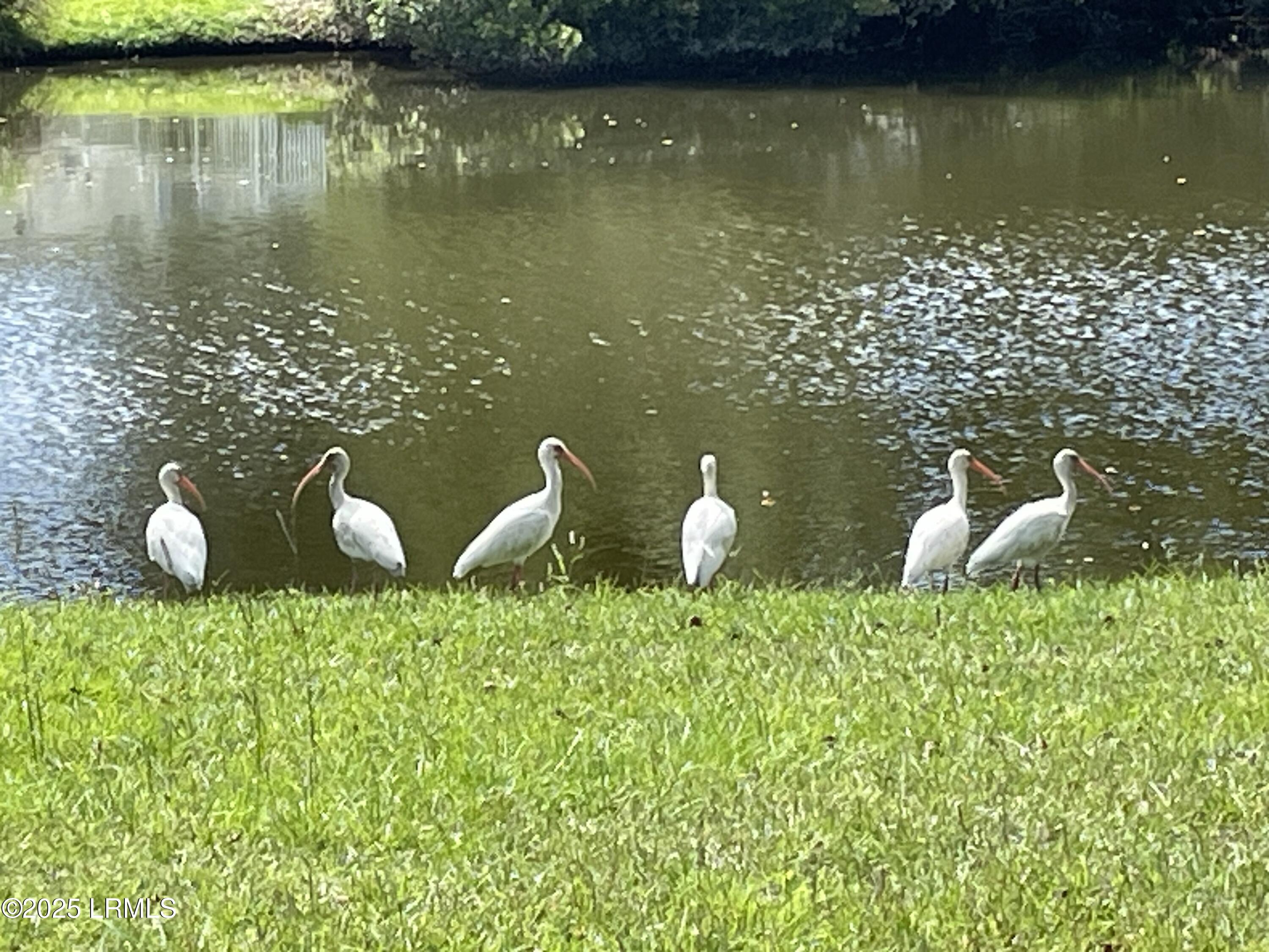 8 Battery Point Lane Beaufort, SC 29902 - Photo 48 of 62 IMG_5817